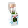 Botella sensorial mariquita