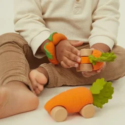 Coche cathy the carrot oli&carol