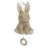 Conejo musical baby bunny