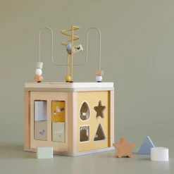 Cubo actividades Little Goose