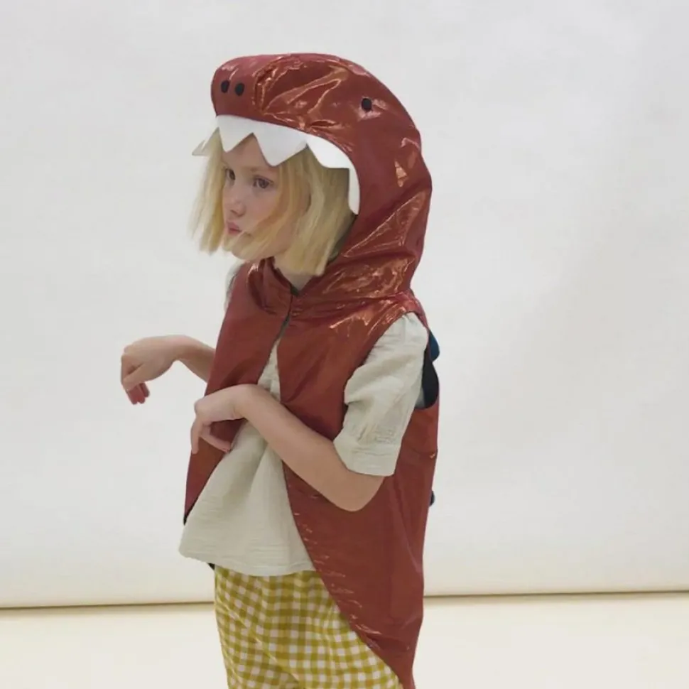 Disfraz de dinosaurio