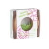 Dona sensorial kiwis