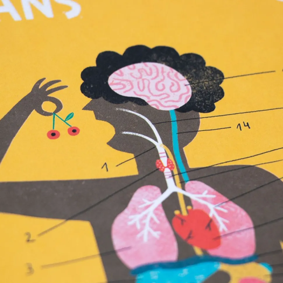 Juego de anatomía inside me learn and fun