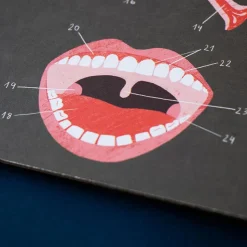 Juego de anatomía inside me learn and fun