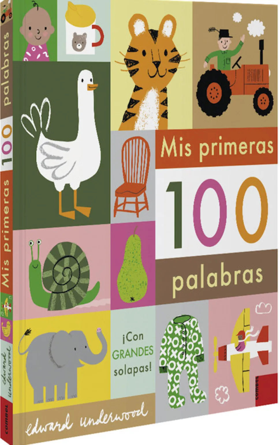 Libro Mis primeras cien palabras