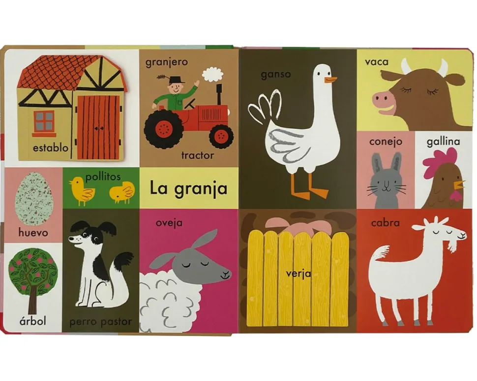 Libro Mis primeras cien palabras