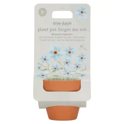 Maceta planta Nomeolvides