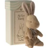 Mi primer conejito marrón