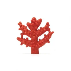 Mordedor coral caucho natural
