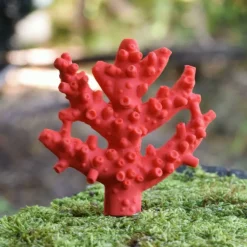 Mordedor coral caucho natural