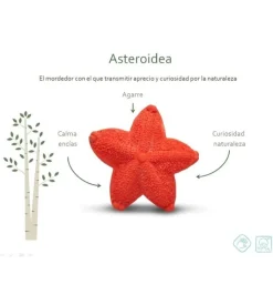 Mordedor estrella de mar caucho natural