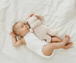 PACK CHUPETES BIBS IVORY/SAGE