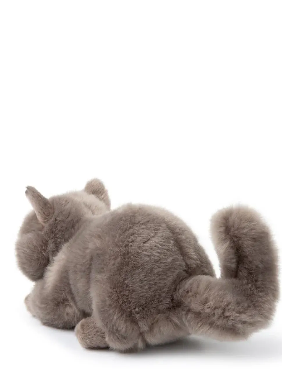 Peluche gato británico Freddy en caja de regalo gris