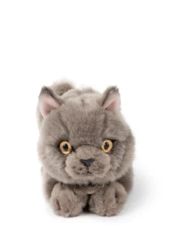Peluche gato británico Freddy en caja de regalo gris