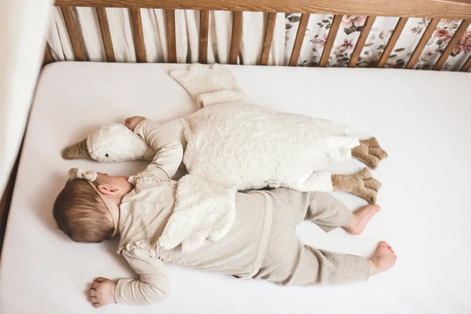 Peluche semillas oca grande