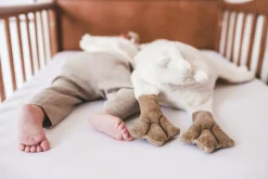 Peluche semillas oca grande