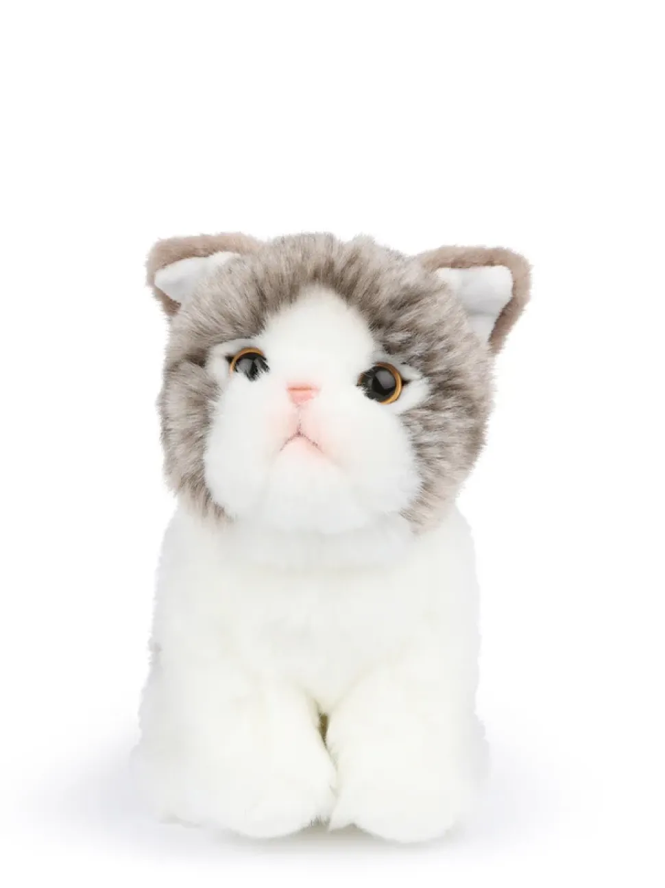 Peluche gato Fold Escocés Amelie en caja de regalo blanco/gris