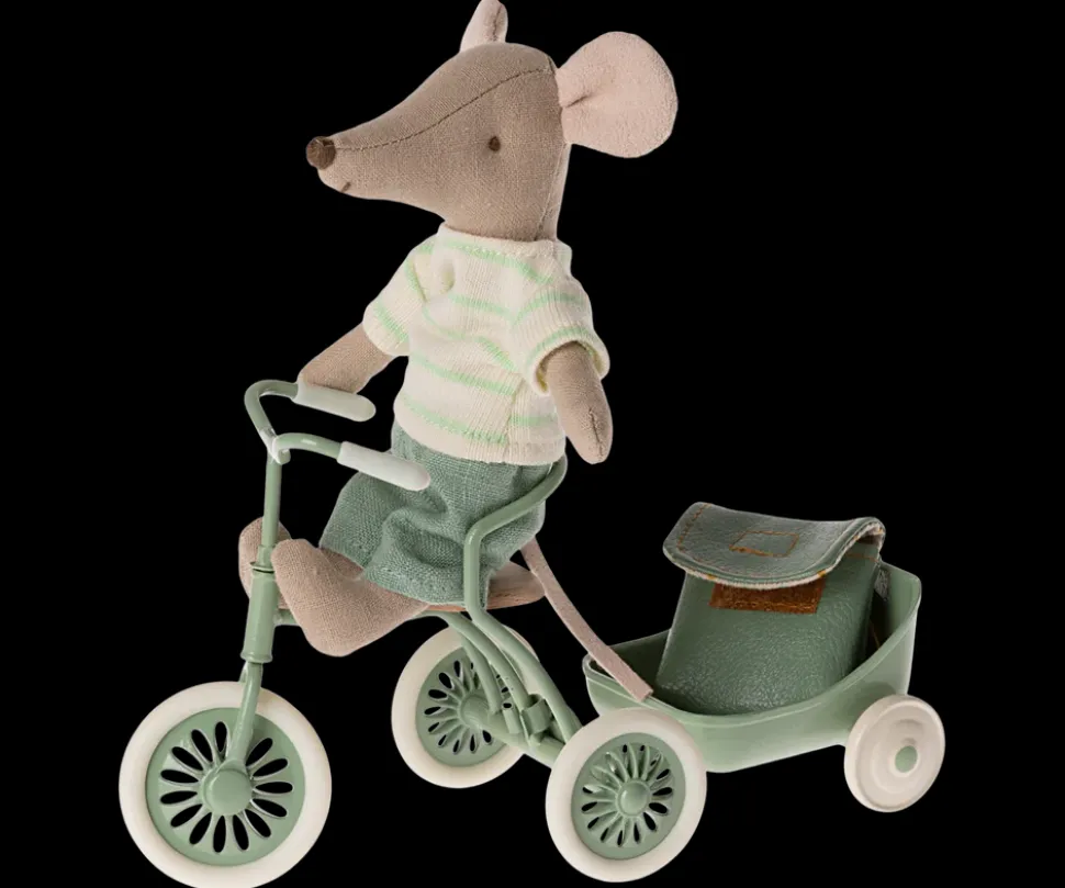 Raton Hermano mayor para triciclo